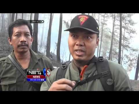 Kebakaran Hutan di Perhutani Ponorogo Renggut 4 Petugas Pemadam - NET 5