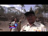 BPBD Temukan Bukti Sisa Kegiatan Pembakaran Hutan di Gunung Guntur - NET 12
