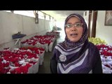 Jelang Hari Natal, Pesanan Bunga Merah Kastuba di Cianjur Meningkat Drastis - NET12