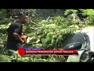 Pohon Tumbang Timpa Mobil di Purwakarta - NET 10