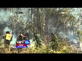 Kebakaran Hebat di Hutan dan Lahan Perkebunan di Polewali Mandar Semakin Meluas - NET24