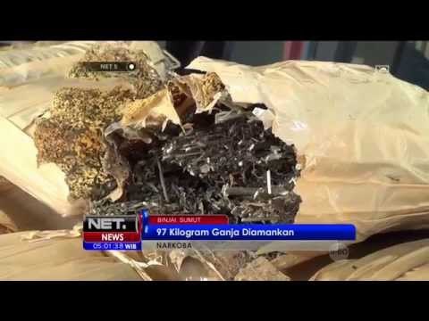 Seorang Oknum Membawa 97 Kilogram Ganja Diamankan di Binjai, Sumatera Utara - NET5