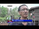 Kebakaran Lahan Ancam Habitat Asli Orang Utan di Palangkaraya - NET12