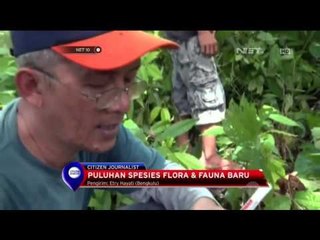 Puluhan Spesies Flora & Fauna Baru - NET 10