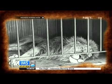 Today's History 16 April 1888 Charlie Chaplin Lahir di Inggris - IMS