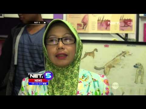 Penitipan Hewan Ramai, Omset Naik 8 Kali Lipat - NET5