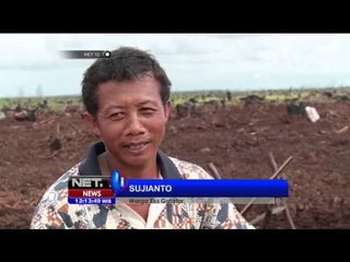 Gafatar Mendirikan Kelompok Tani Manuggal Sejati - NET12