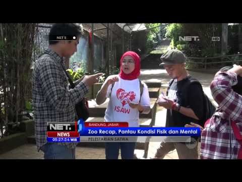 Zoo Recap, Aplikasi Pemantau Satwa di Kebun Binatang Bandung - NET5