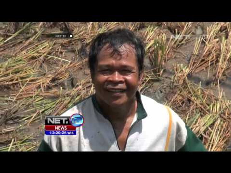 5 Hektar di Gresik Terendam Banjir - NET12