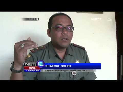 Sebulan Berstatus Siaga, Aktivitas Bromo Masih Tinggi - NET12