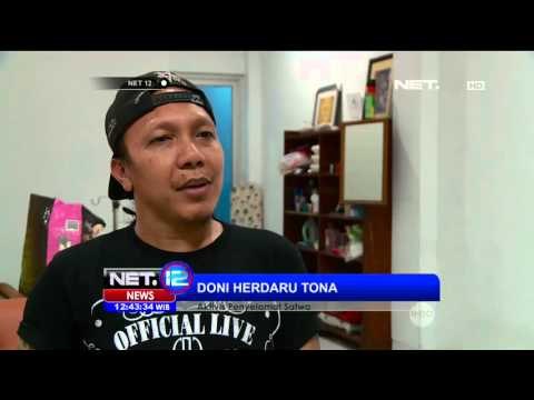 Aksi Perduli Terhadap Penelantaran Hewan - NET12