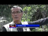 Kondisi Terkini Aktivitas Erupsi Gunung Bromo - NET12