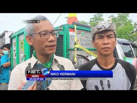 Proses Rehabilitasi dan Pemulangan Enam Orang Utan ke Habitat Asal - NET24