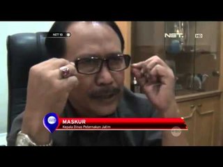 Waspada Gejala Flu Burung - NET 10