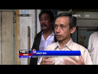 Download Video: Sidak Daging, Ditemukan Hati Sapi Busuk Dijual - NET5