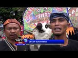 Aksi Seni Barong Domba Garut - NET5