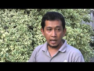 Penyelamatan Orang Utan - NET12