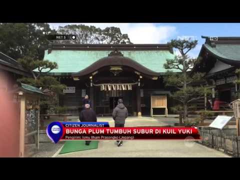 Kemeriahan Festival Bunga Plum di Jepang - NET5