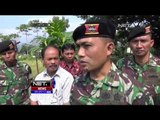 Aksi Anggota TNI Panen Beras Hitam di Ambarawa - NET5