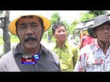 Jalan Dan Rumah Terendam Banjir Seminggu Di Lamongan, Jawa Timur - NET5
