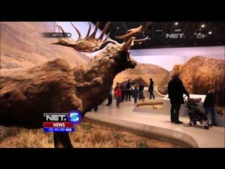 Sensasi Jelajahi Gua Vallon Pong Dark di Prancis - NET5