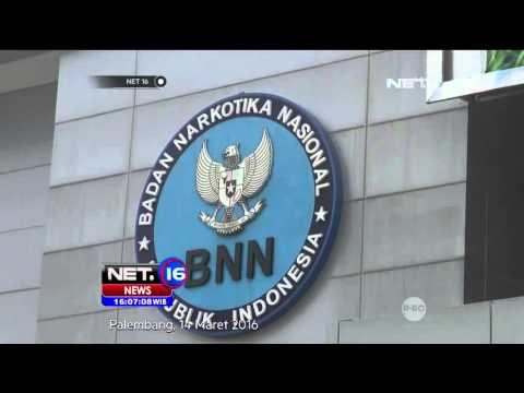 BNN Selidiki Pihak yang Menghalangi Penangkapan Bupati Ogan Ilir - NET16