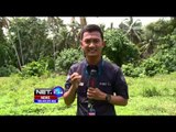 Korban Heli Jatuh Dimakamkan di TPU Kalibata - NET24