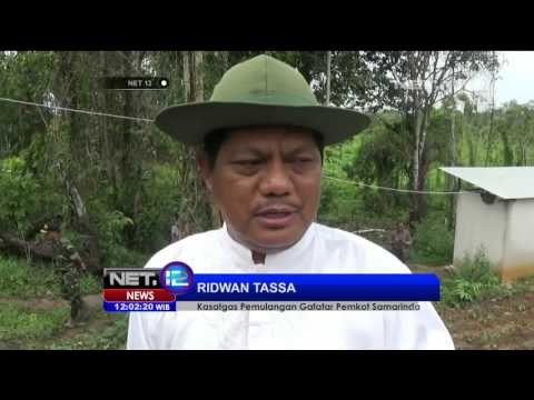Suasana Pengungsian Mantan Anggota Gafatar Mulai Lenggang di Pontianak - NEt12
