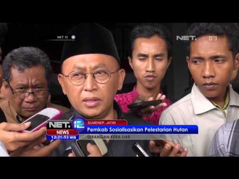 Relokasi Monyet Liar Yang Menyerang Perkebunan di Sumenep - NET12