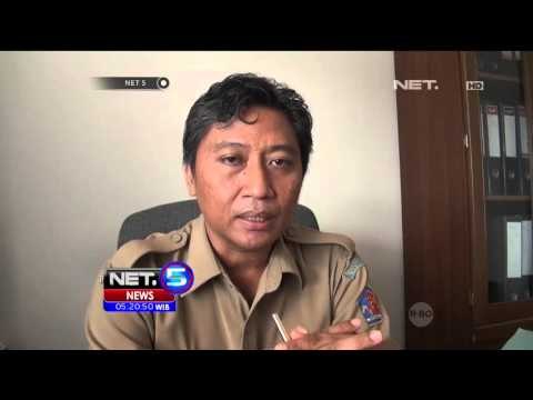 Kasus DBD Meningkat Karena Nyamuk Cepat Berkembang Biak - NET5