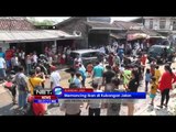 Aksi Protes, Warga Sukabumi Memancing Ikan di Kubangan Jalan Rusak - NET5