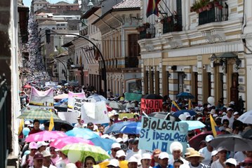 Nueva audiencia relacionada a la marcha 'Con mis Hijos no te Metas'