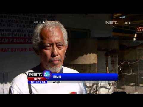 Eksekusi Pengosongan Rumah Dinas PT KAI di Jakarta Berlangsung Ricuh - NET12