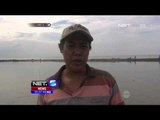 Dampak Polemik Reklamasi Teluk Jakarta - NET5
