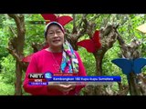 Inspirational People Herawati Soekardi Konservator Kupu Kupu - NET12