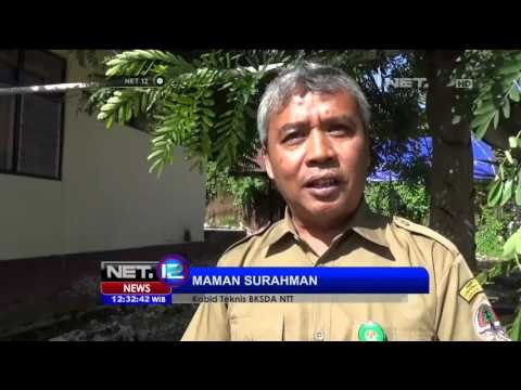 BKSDA Amankan Seekor Buaya di Pesisir Pantai Teluk Kupang - NET12