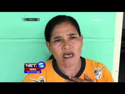 Gajah Liar Di Pekanbaru Menyerang Warga NET5