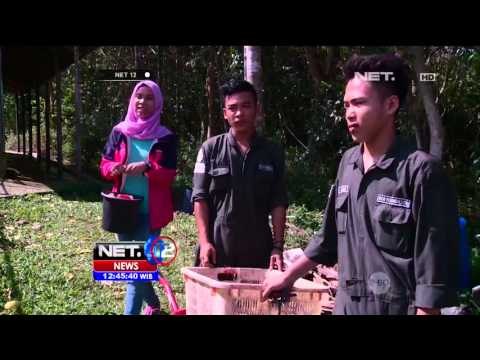 Surga Liburan Suaka Beruang Madu di Alam Kalimantan - NET12