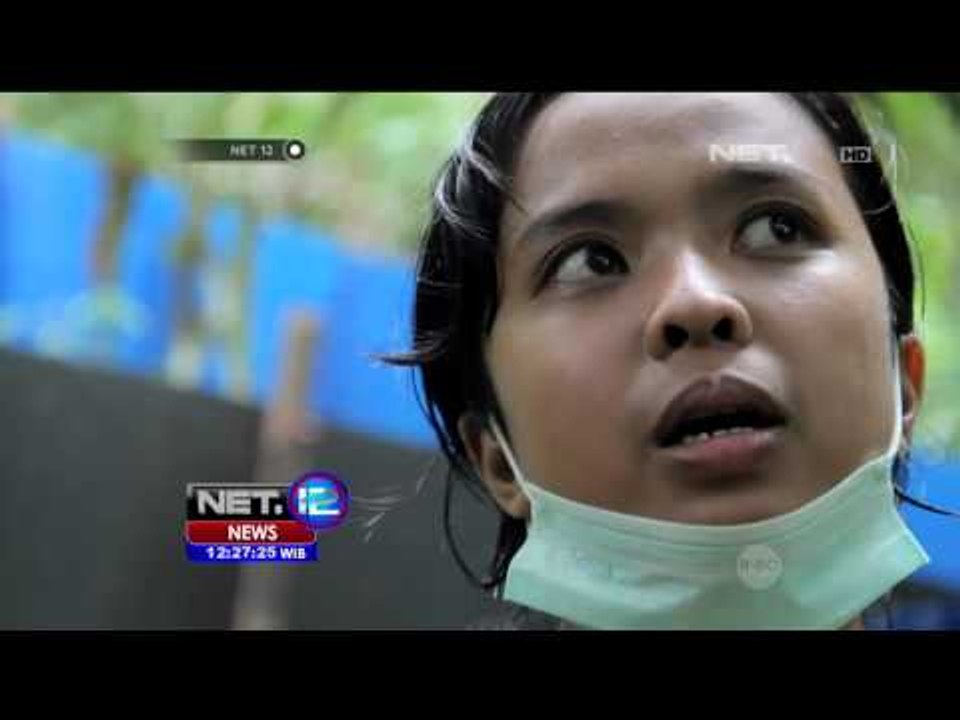 8 Kukang Dikembalikan ke Habitatnya - NET12