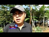 Pergerakan Tanah Akibatkan Belasan Rumah di Banjarnegara Rusak Parah - NET12