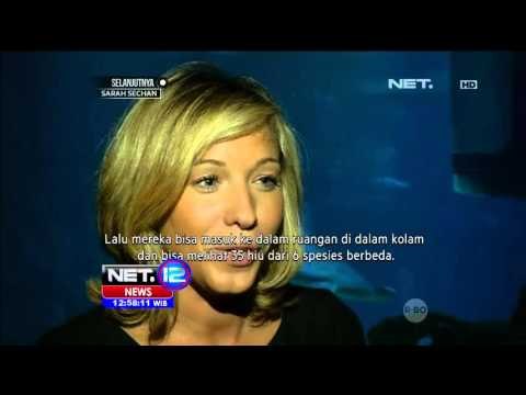 Hotel Unik, Menginap di Bawah Air Sambil Dikelilingi Hiu - NET12