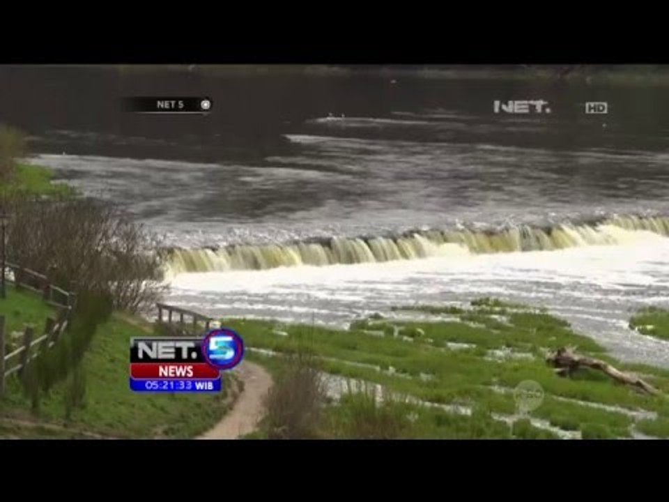 Melihat Tingkah Ikan Vimba Bream - NET5