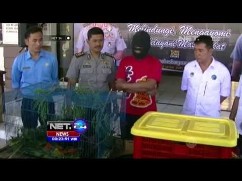 Sindikat Penjualan Satwa Online - NET24