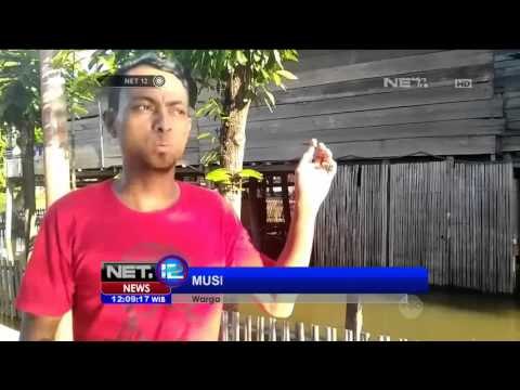 Banjir di Beberapa Daerah Masih Mencapai 30-100 Cm - NET12