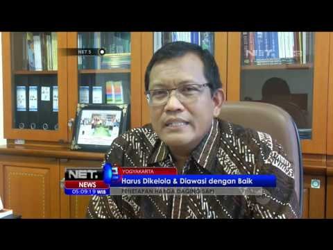 Harga Daging Sapi Turun, Peternak Lokal Was-was - NET5