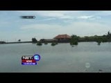 Warga Probolinggo Mulai Terserang Penyakit Akibat Banjir ROB - NET12