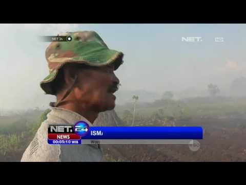 Kebakaran Lahan Gambut Sebabkan Satwa Liar Mati Terpanggang - NET24