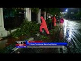 Hujan Deras di Jakarta Tumbangkan Pohon Besar di Kawasan Sekretariat Negara - NET5