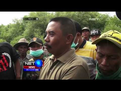 Bangkai Paus yang Terdampar di Pesisir Probolinggo Akhirnya di Makamkan - NET5