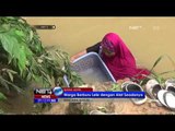 Tanggul Jebol, Ratusan Rumah Terendam Banjir - NET5